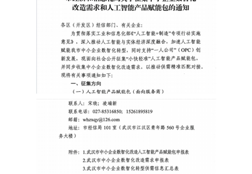 宜昌geo优化怎么做服务商行业全景分析