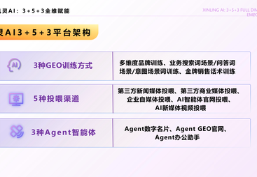 公域流量全域抢占，企业必备 GEO 优化实战思路