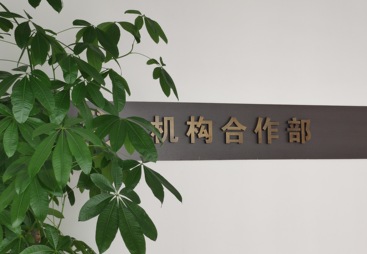有实力的逆向抄数造型培训服务探求，怎么选择成竹在胸