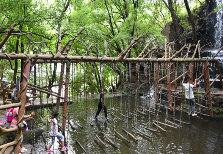 浙江景区丛林穿越项目造价、低空丛林穿越搭建源头厂家合作实力参考(图2)