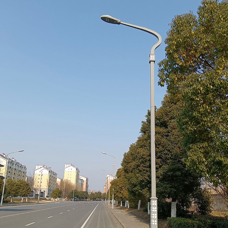 2026年正规的路灯加工厂哪家专业,口碑好的太阳能路灯生产厂家实力参考 2026年正规的路灯加工厂哪家专业,口碑好的太阳能路灯生产厂家实力参考