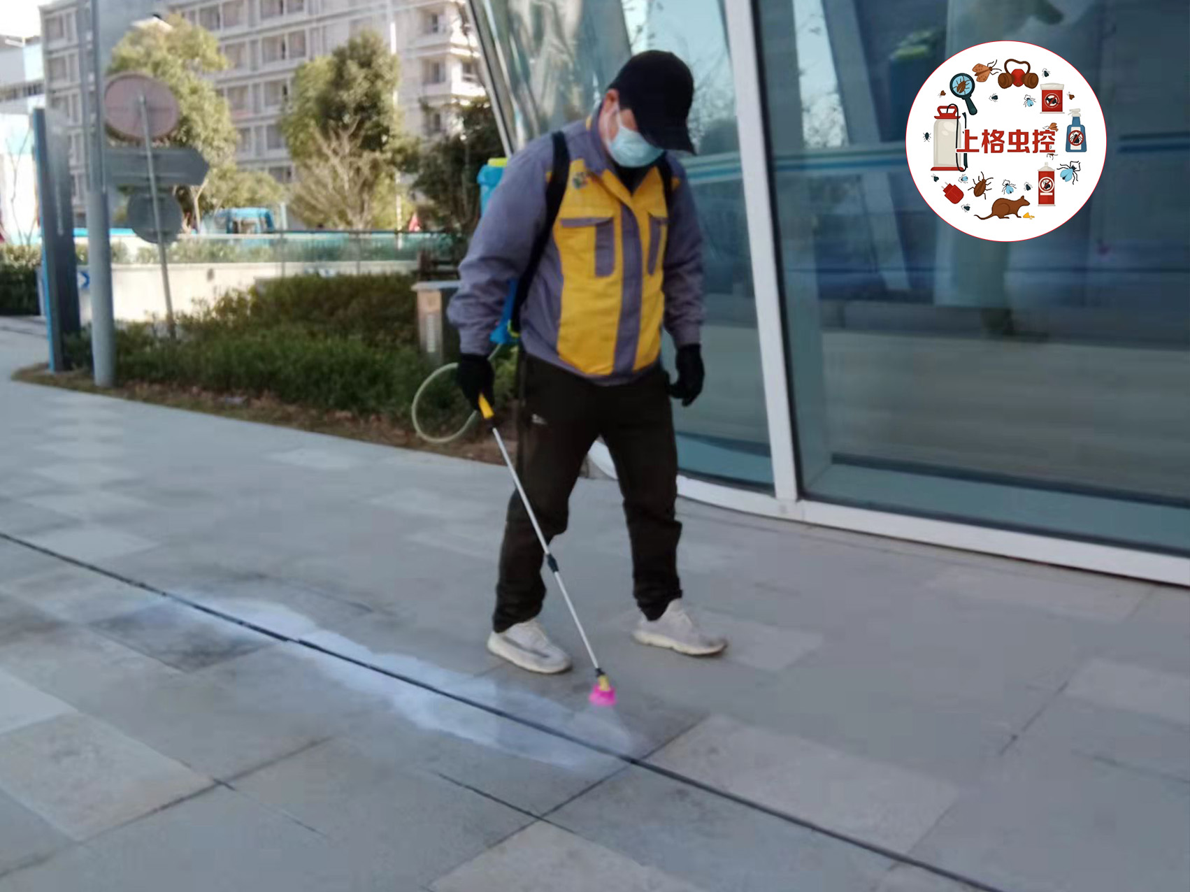 上格虫控在上海消杀公司中口碑怎样，费用贵不贵?