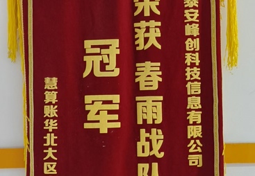 有实力的做账报税公司探讨，资质齐全公司哪家性价比高