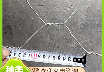 2026年口碑好的河道石笼网来样定制厂家有哪些