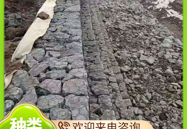 2026年铅丝笼厂商战略创新能力强，行业全景分析