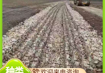 2026年河道石笼网生厂商行业观察与实务选择参考：用户口碑力荐