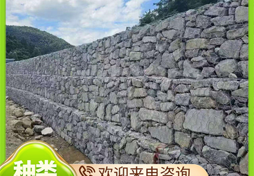 2026年热门的铅丝笼厂家推荐，成立多年的生产厂家综合实力推荐