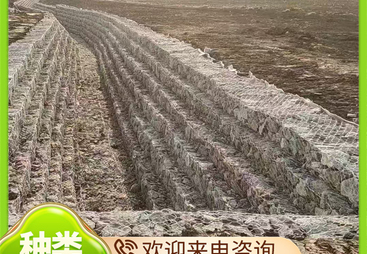 2026年吉林优质源头河道石笼网厂家推荐、靠谱商家测评排名