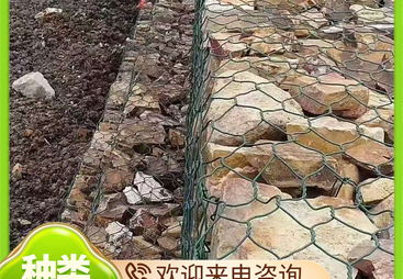 2026年靠谱的铅丝笼定制工厂有哪些：质量参考与用户口碑深度解析