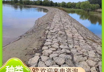 2026年靠谱的河道石笼网来图定制厂家实力参考