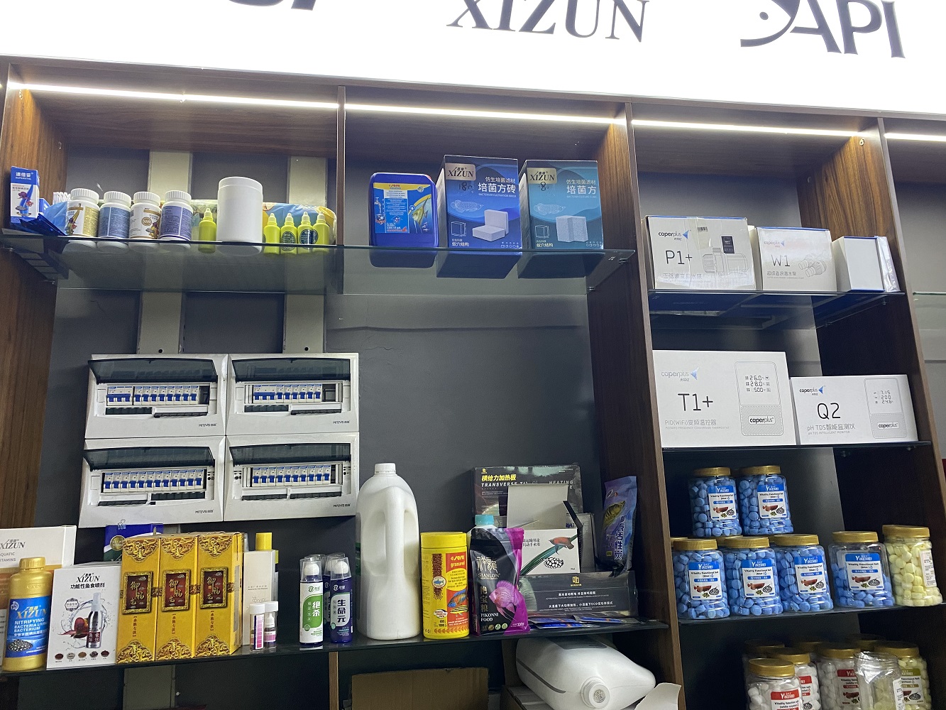 御福龙观赏鱼性价比高吗，深入剖析其养殖经验与售后服务