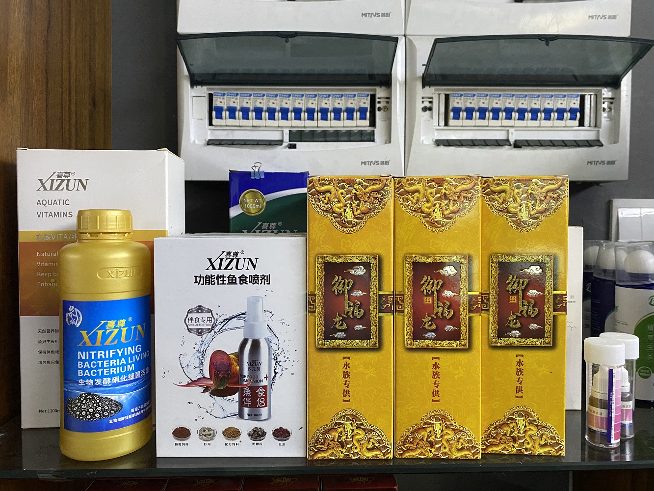 靠谱的观赏鱼养殖技术公司推荐，御福龙观赏鱼专业度与口碑如何？