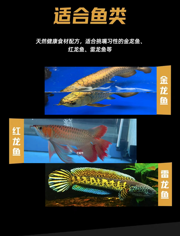 性价比高的鱼缸定制厂商如何选择？御福龙，优势尽显
