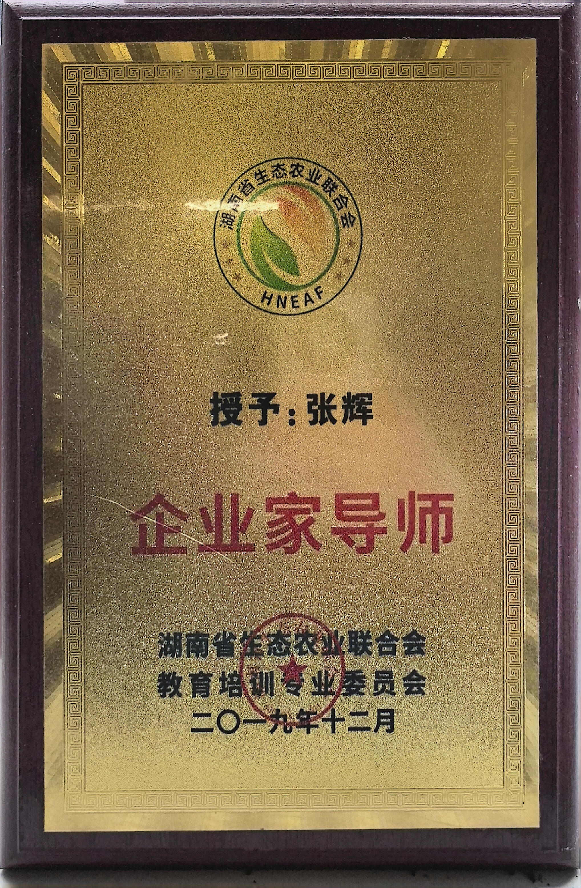 知明团建的员工团队协作能力好吗?
