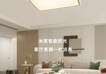 盘点2026年口碑好的客厅灯加盟供应商，哪家性价比更高