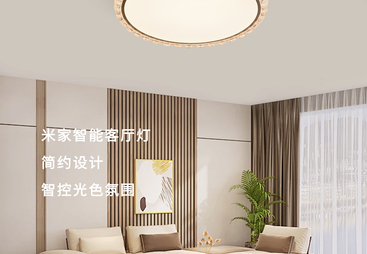 2026年可靠的客厅灯加盟厂家探讨，品牌客厅灯加盟如何选择