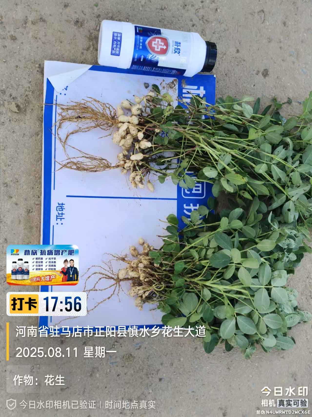 提升农作物产量选南阳朴欣肥业，在云南好用的品牌推荐