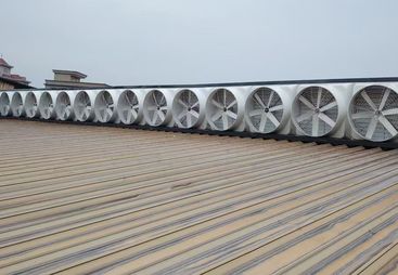 2026年省心的负压风机降温厂房解决方案供应商