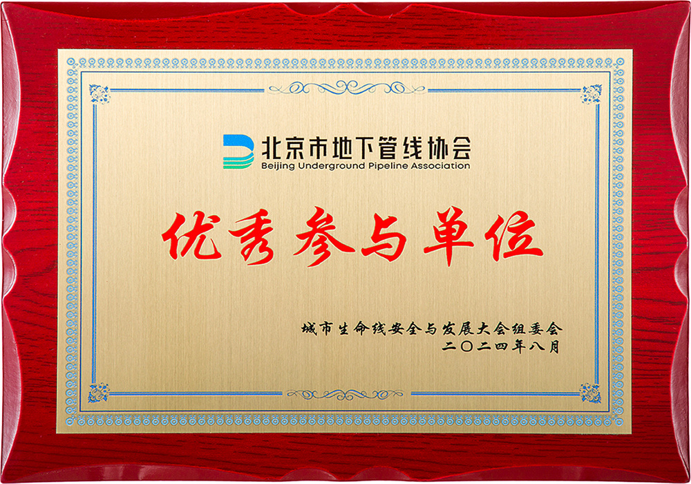 2026年靠谱的城市生命线传感器国产品牌厂家质量参考评选 2026年靠谱的城市生命线传感器国产品牌厂家质量参考评选