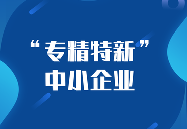 2026年广受信赖的专精特新代办服务商推荐，用户力荐资质齐全