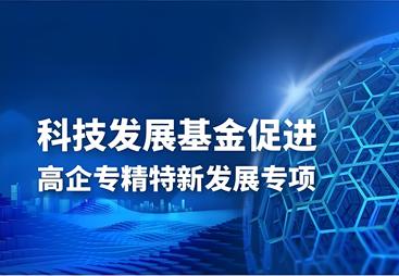2026年口碑不错的专精特新代办公司用户力荐，企业政策服务商怎么选择