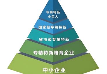 性价比高的专精特新认定机构有哪些？费用如何？
