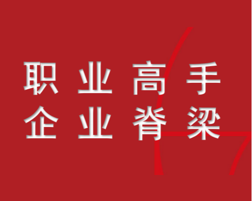职业高手文宣