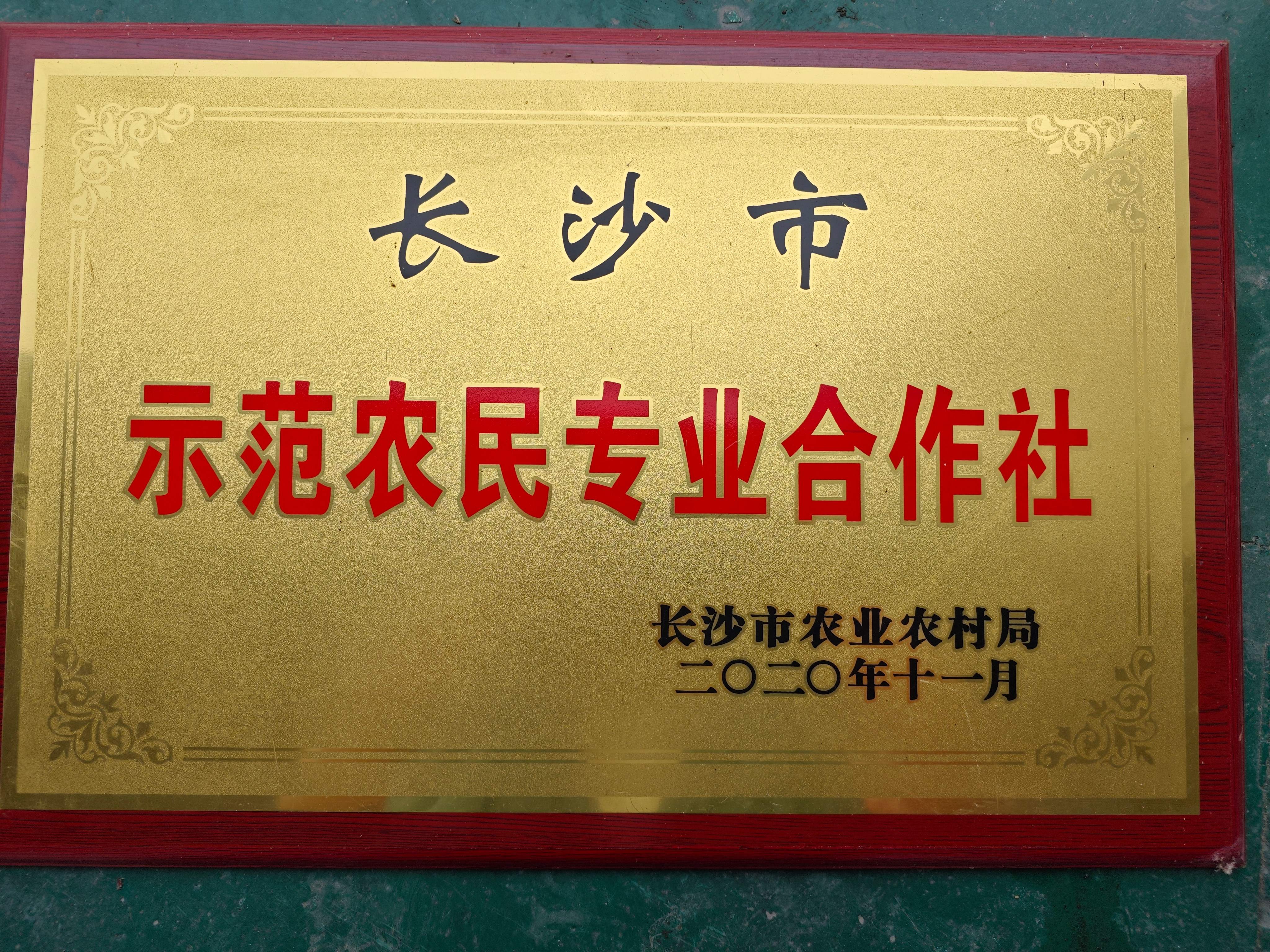 2026年湖南风味预制菜制造厂家用户力荐 2026年湖南风味预制菜制造厂家用户力荐