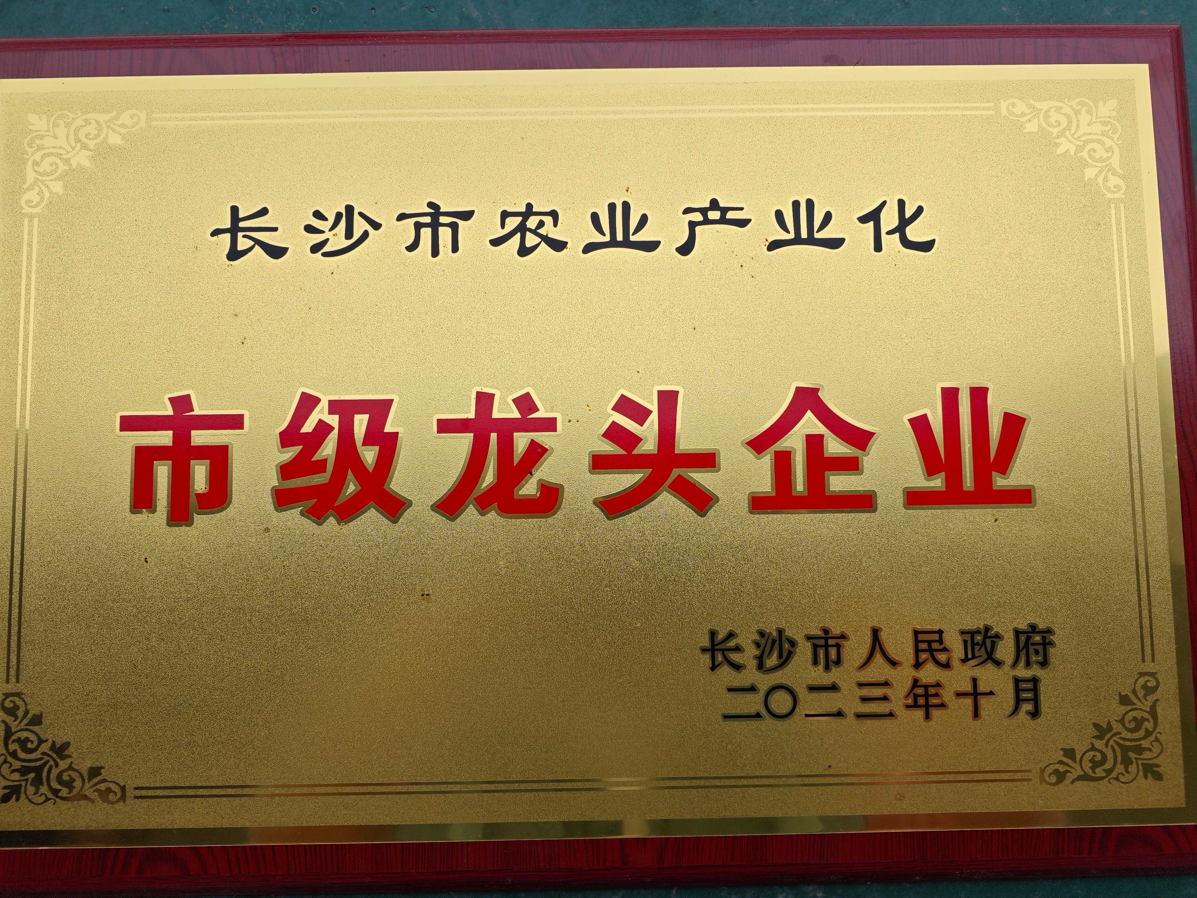 2026年靠谱的能做多规格定制的预制菜厂家避坑挑选指南 2026年靠谱的能做多规格定制的预制菜厂家避坑挑选指南