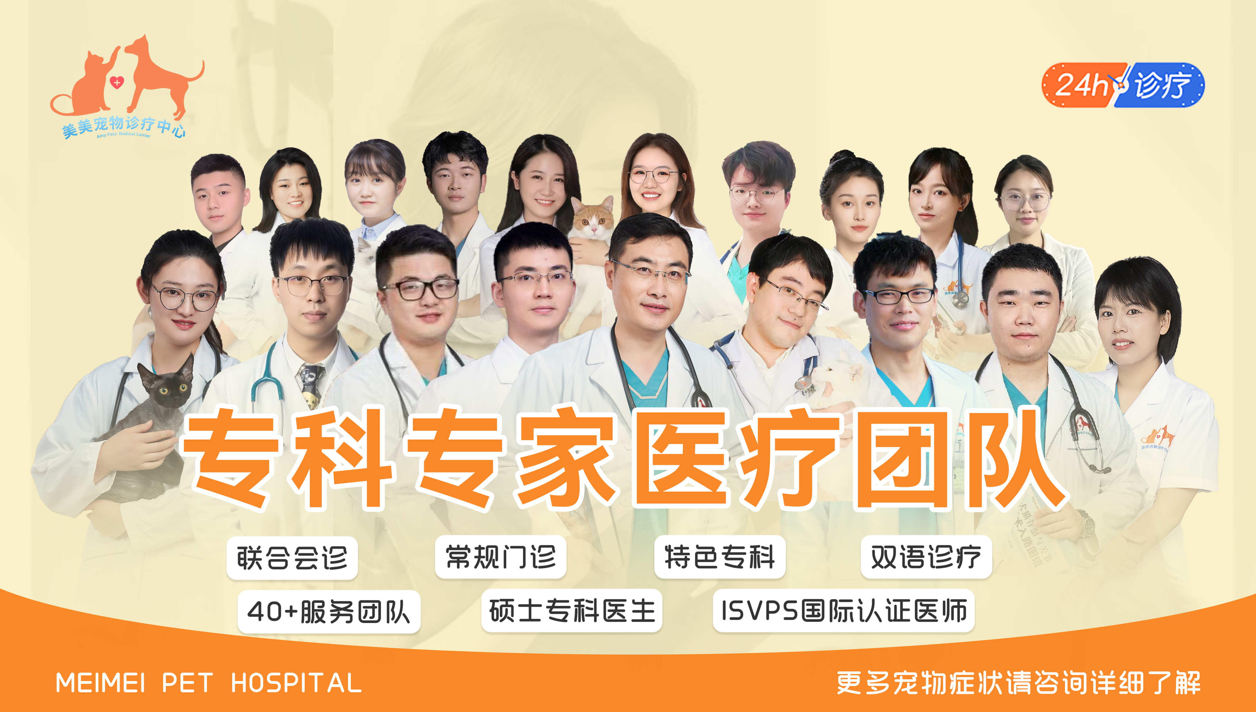 聊聊宠物白内障诊疗的时间安排，杭州加美美动物医院怎么选