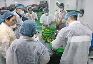 金华资质齐全的净菜供应专业公司，营养菜单定制如何适配学校食堂