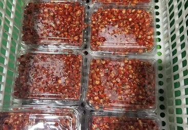 金华推荐一下净菜配送专业公司，定制化净菜如何适配不同团餐