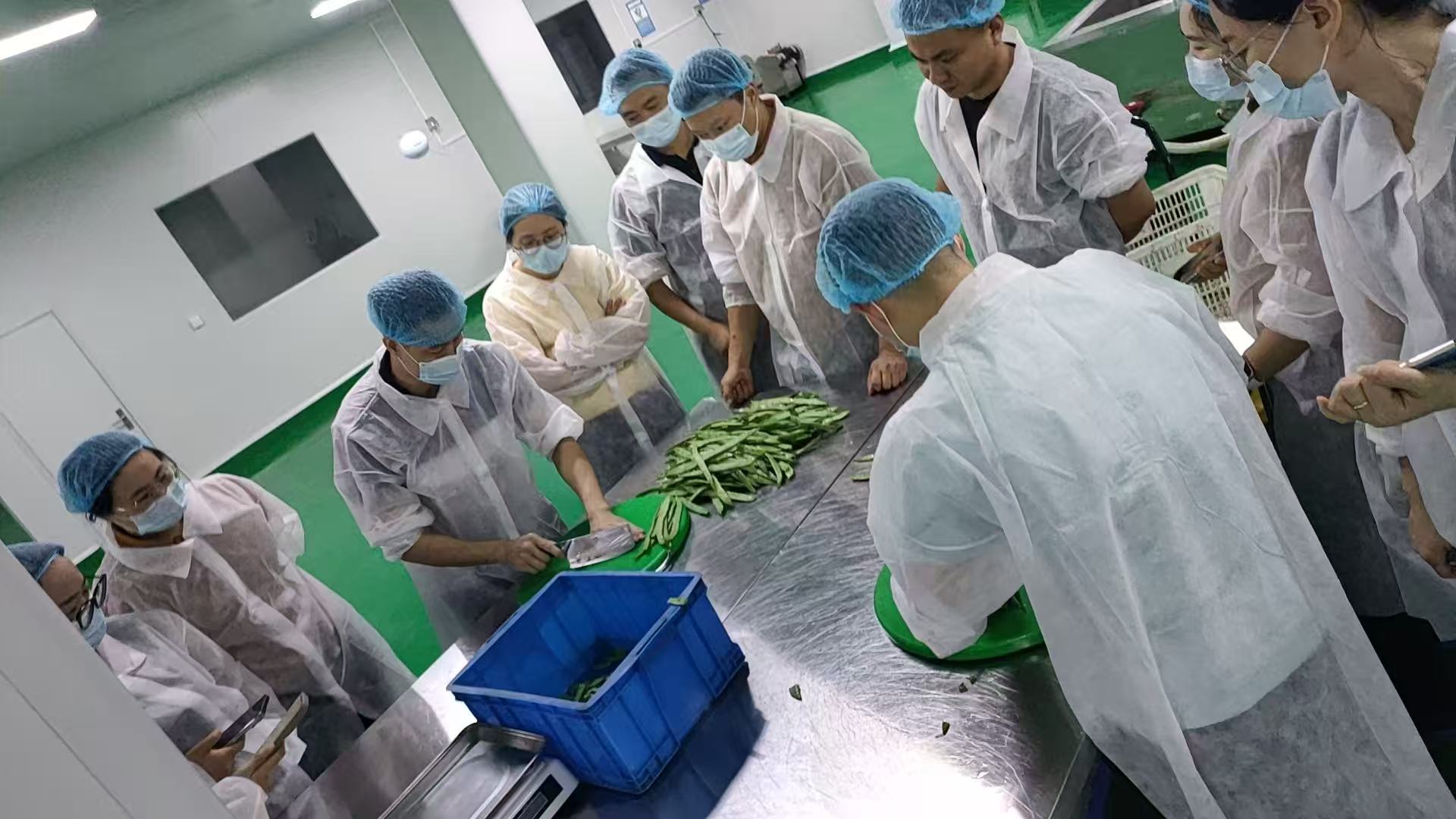 新鲜净菜配送选哪家好，解读不同品牌的服务特色与价格优势