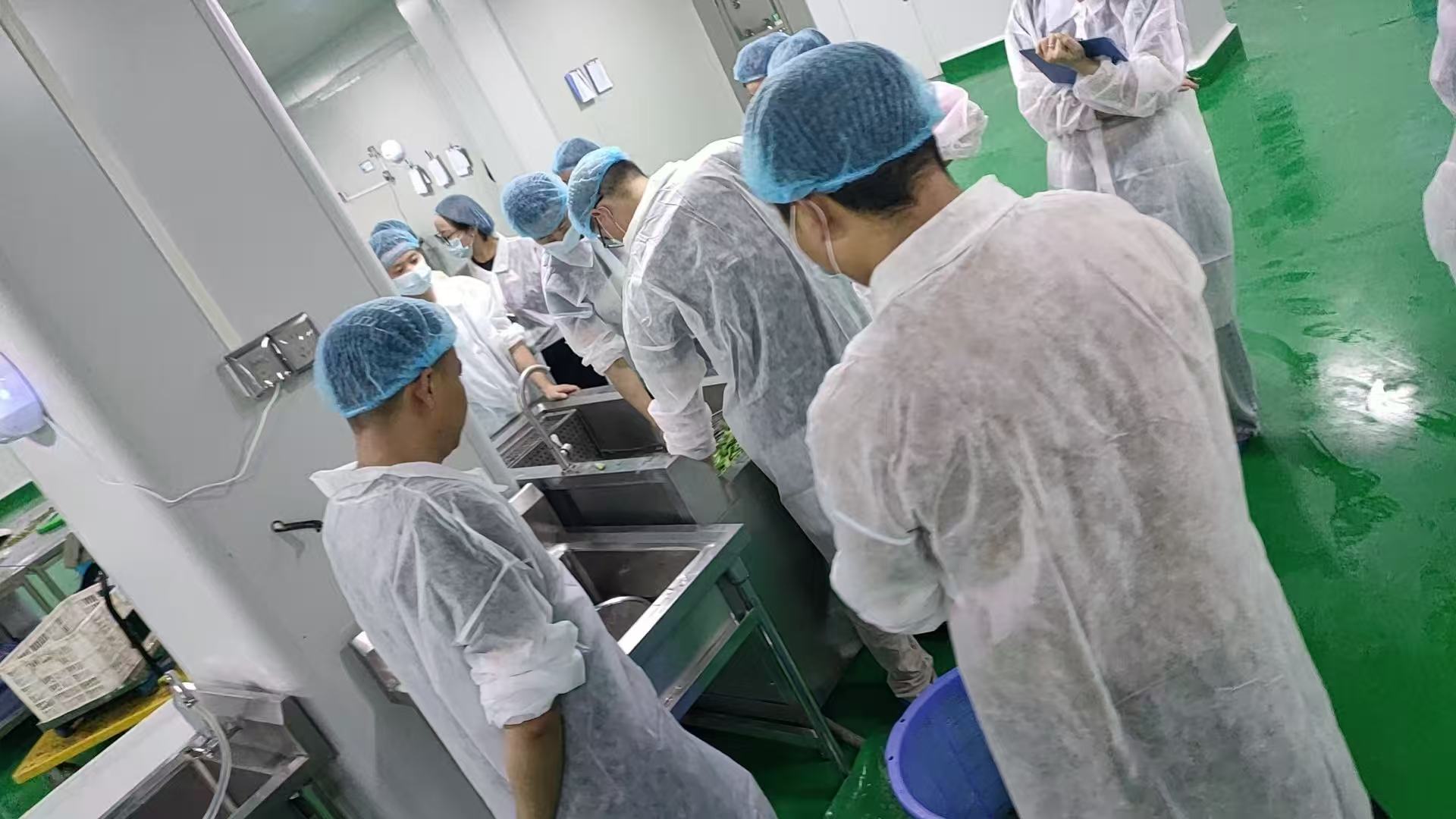 2026年有实力的净菜配送品牌汇总，健康净菜配送联系方式揭秘