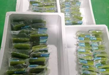 净菜加工厂哪家合适，标准化车间如何降低食材损耗