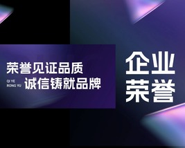 企业荣誉展示