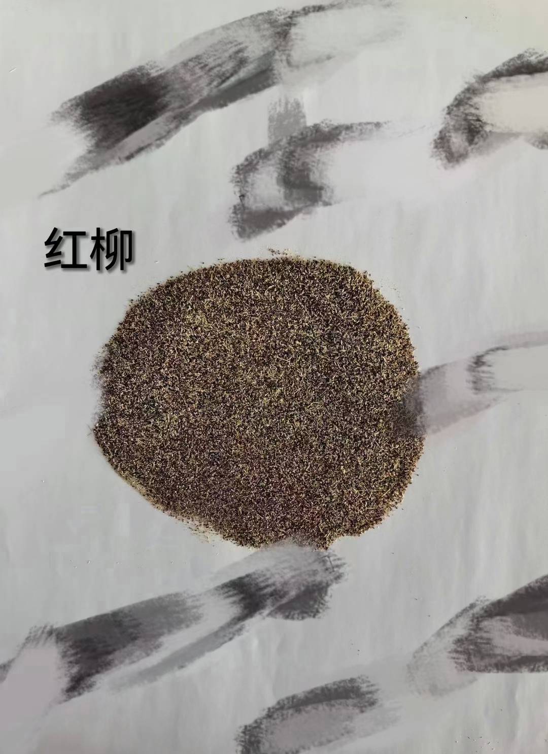 新疆天博草业牧草种子服务靠谱性价比高吗 新疆天博草业牧草种子服务靠谱性价比高吗