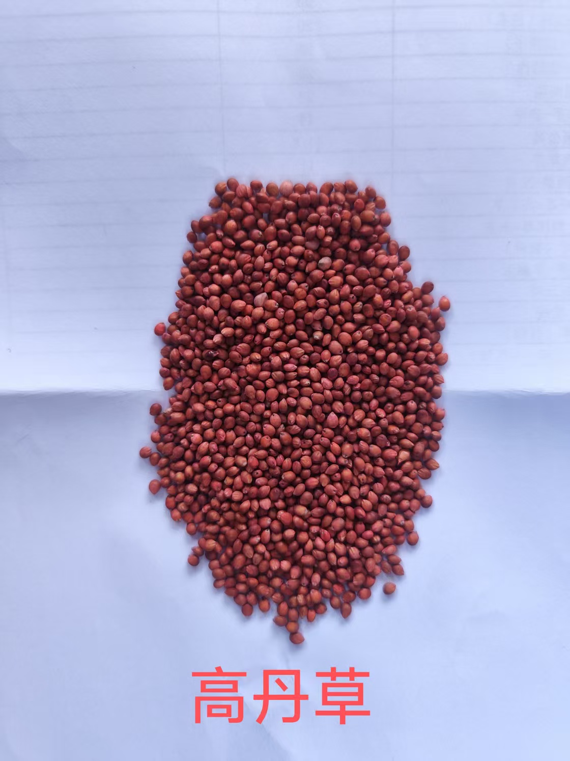 新疆维吾尔自治区新疆天博草业牧草种子服务满意度怎么样