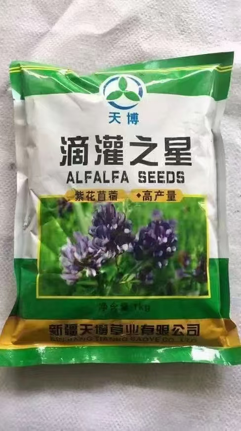 2026年养兔用的牧草种子推荐靠谱公司有哪些 2026年养兔用的牧草种子推荐靠谱公司有哪些