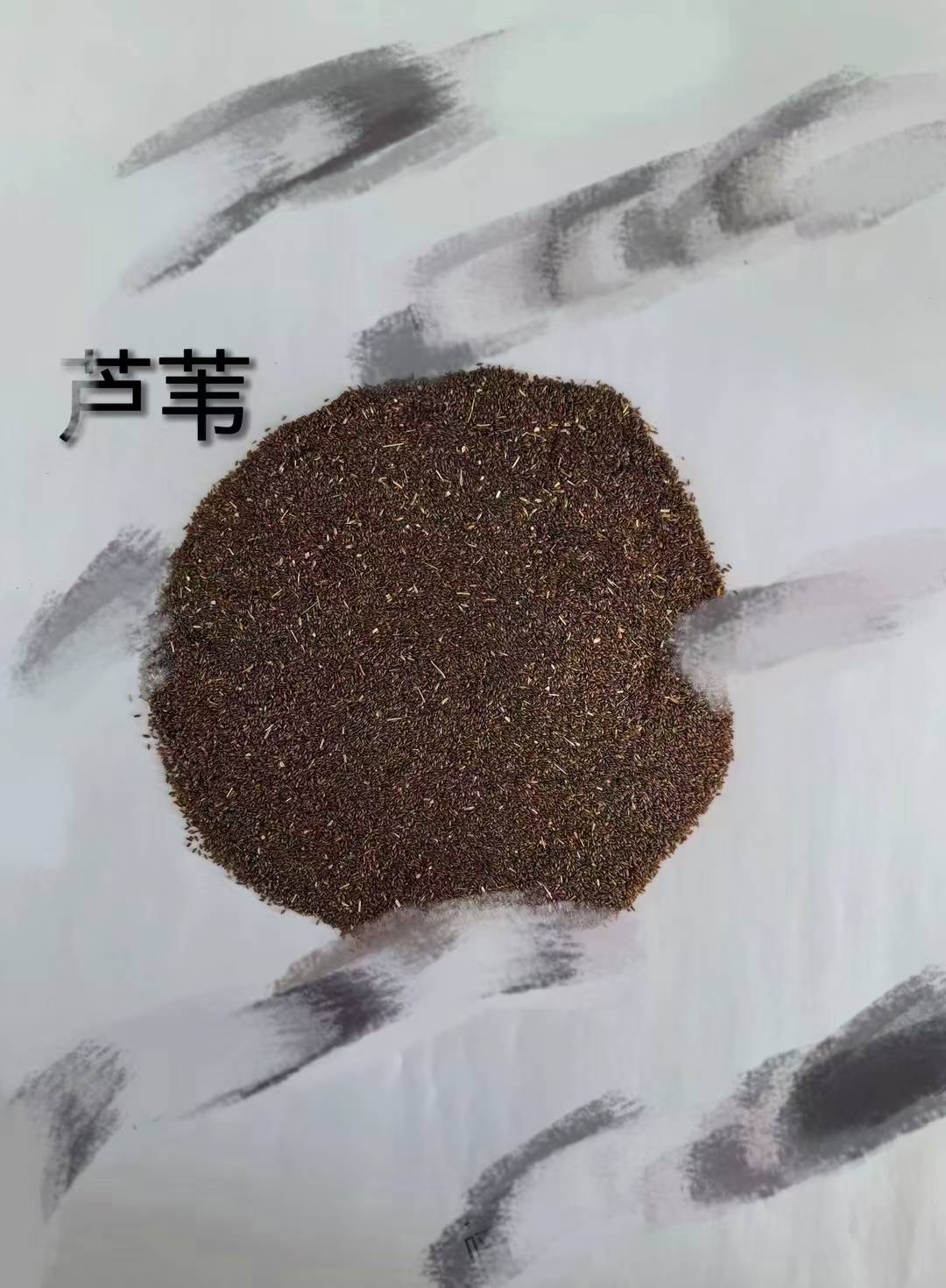 2026年养兔用的牧草种子推荐靠谱公司有哪些 2026年养兔用的牧草种子推荐靠谱公司有哪些