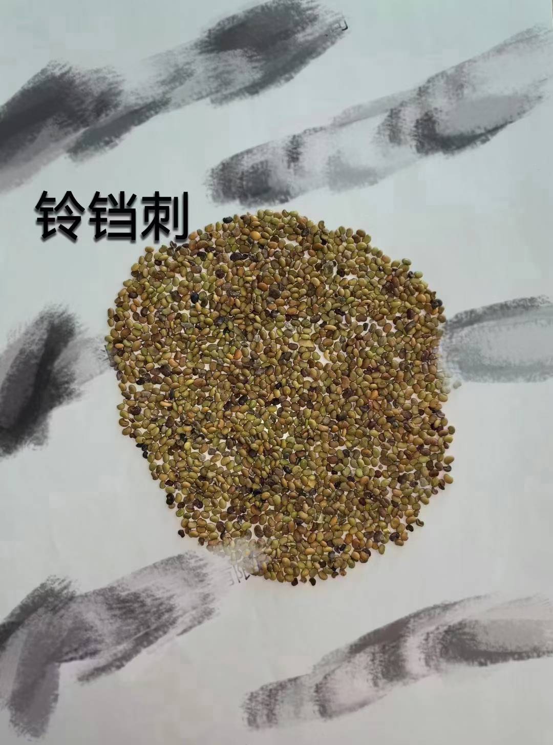 2026年养兔用的牧草种子推荐靠谱公司有哪些 2026年养兔用的牧草种子推荐靠谱公司有哪些