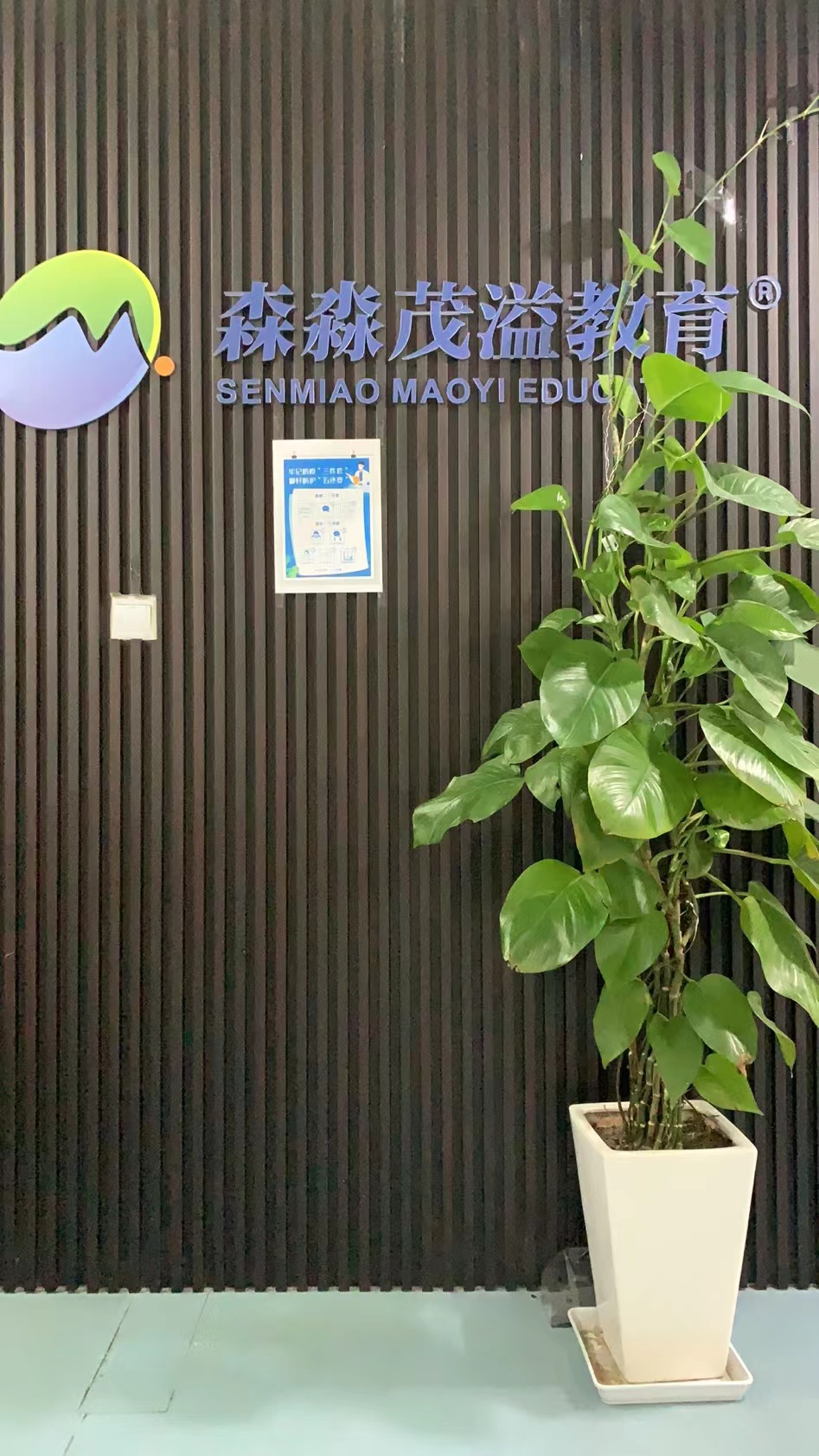 欧洲艺术留学方案规划怎么联系，靠谱机构为你搭桥铺路