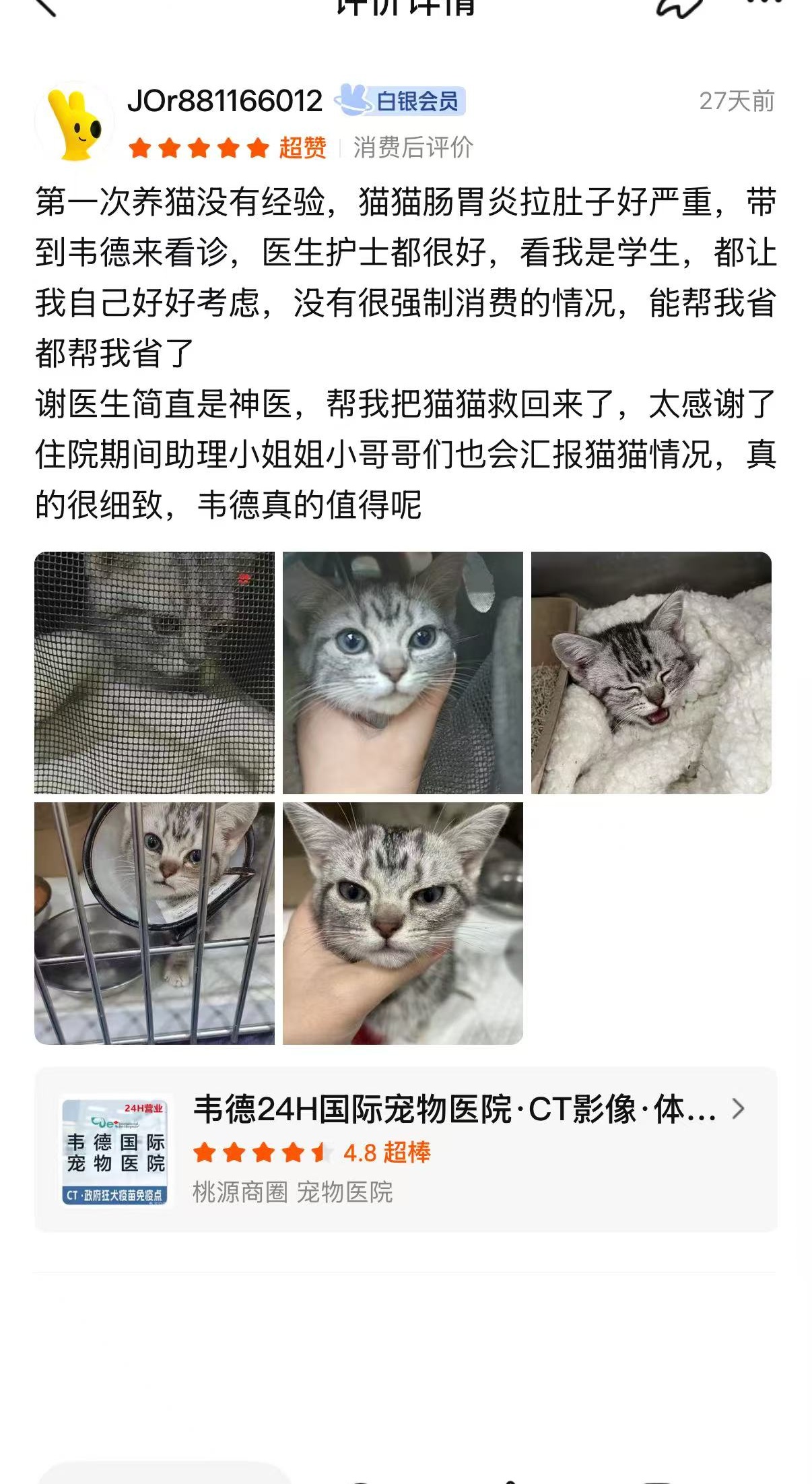 宠物医院品牌如何选?口碑好的宠物医院推荐 宠物医院品牌如何选?口碑好的宠物医院推荐