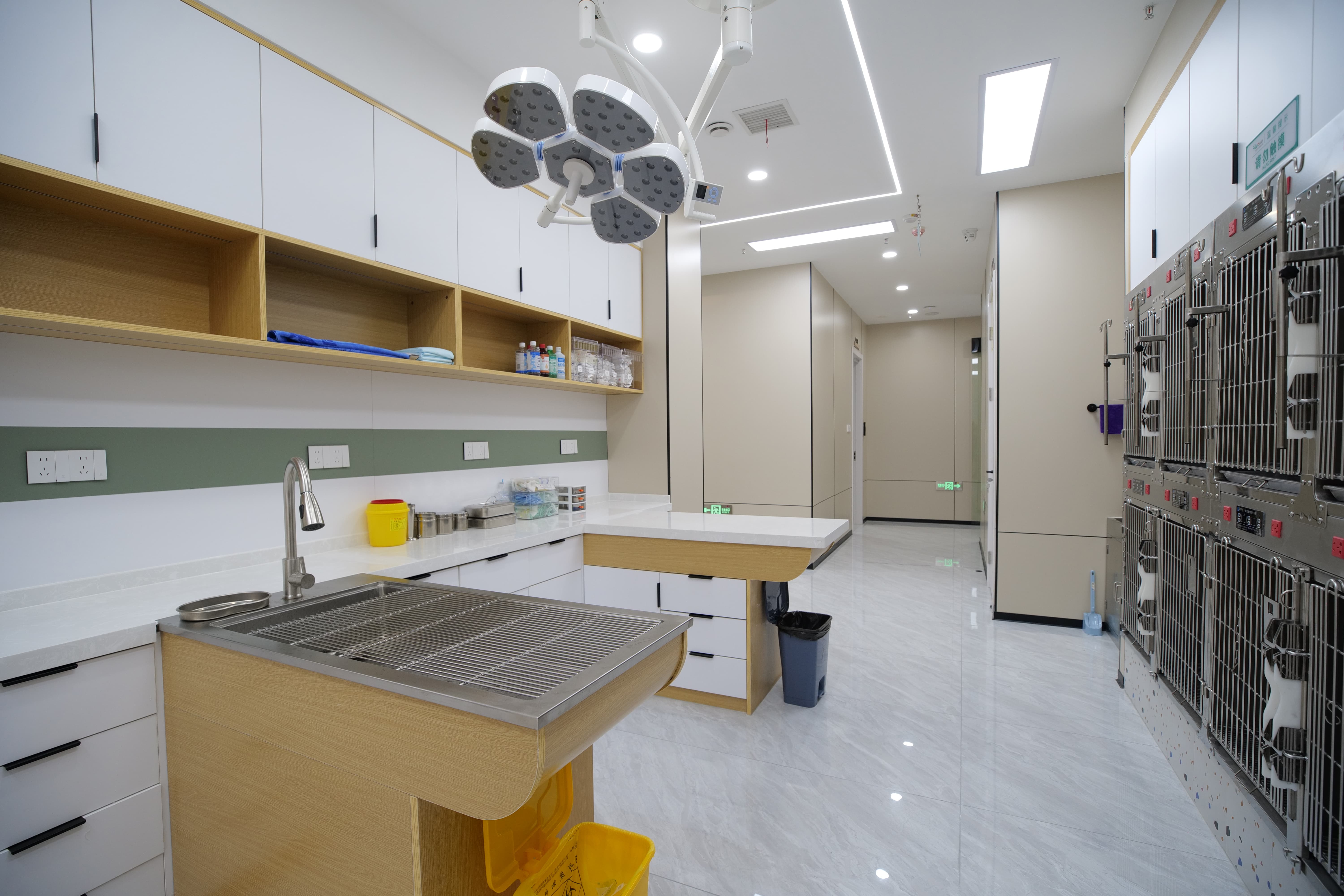 2026靠谱的宠物医院推荐，深聊韦德宠物医院医疗服务好吗