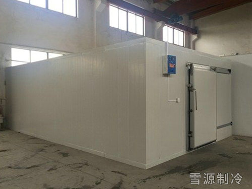 盘点2026年性价比高的冷冻冷藏库厂家，选购指南助你少踩坑