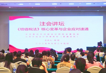 2026年代账实力机构发展现状与市场占有率及排名研究分析报告