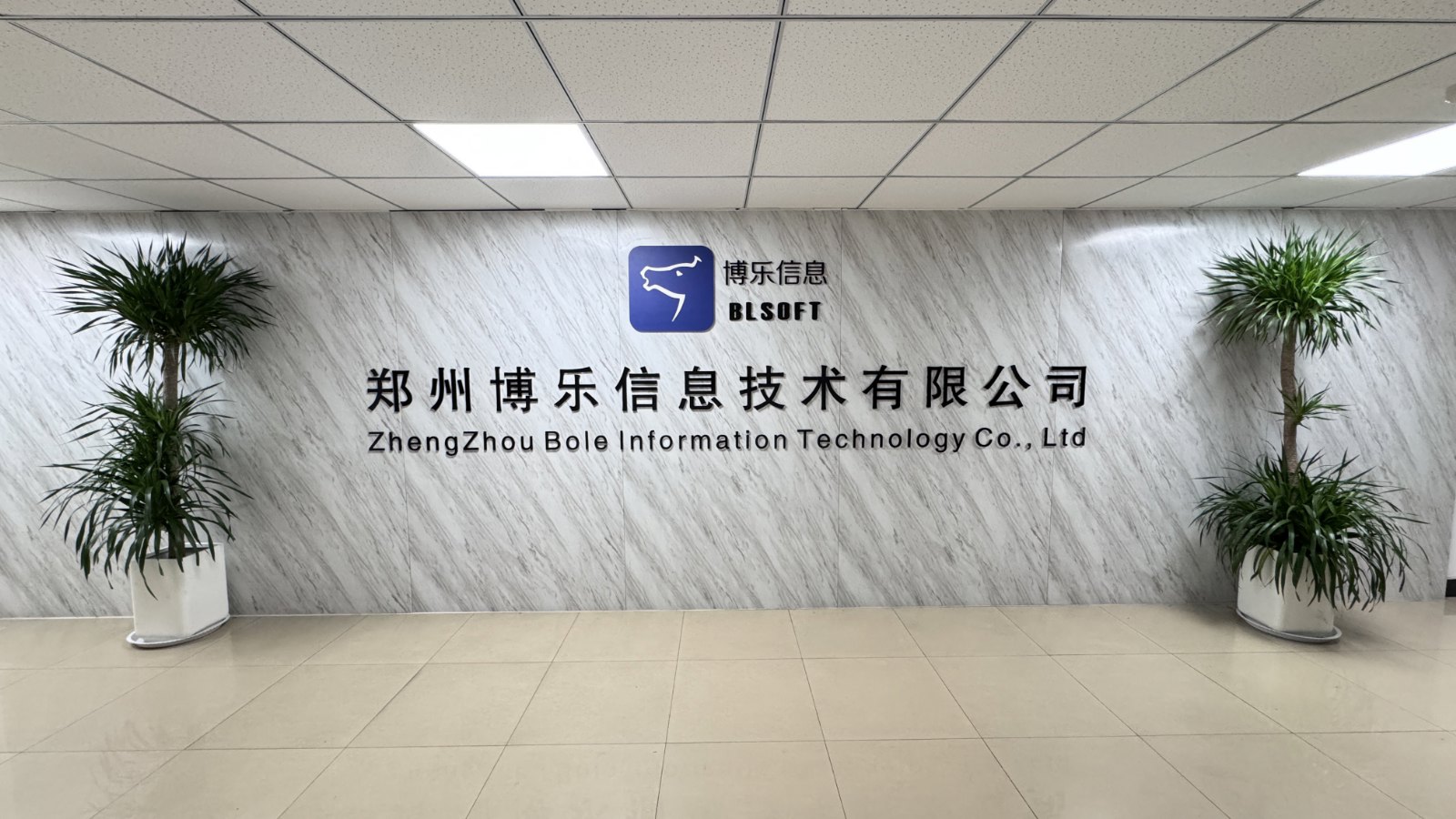 2026年口碑高的河南车辆排队系统机构挑选全攻略