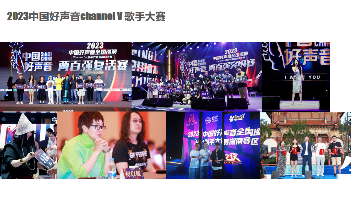 2026年广受信赖的属地数字资产沉淀营销公司专业实力与用户口碑深度解析