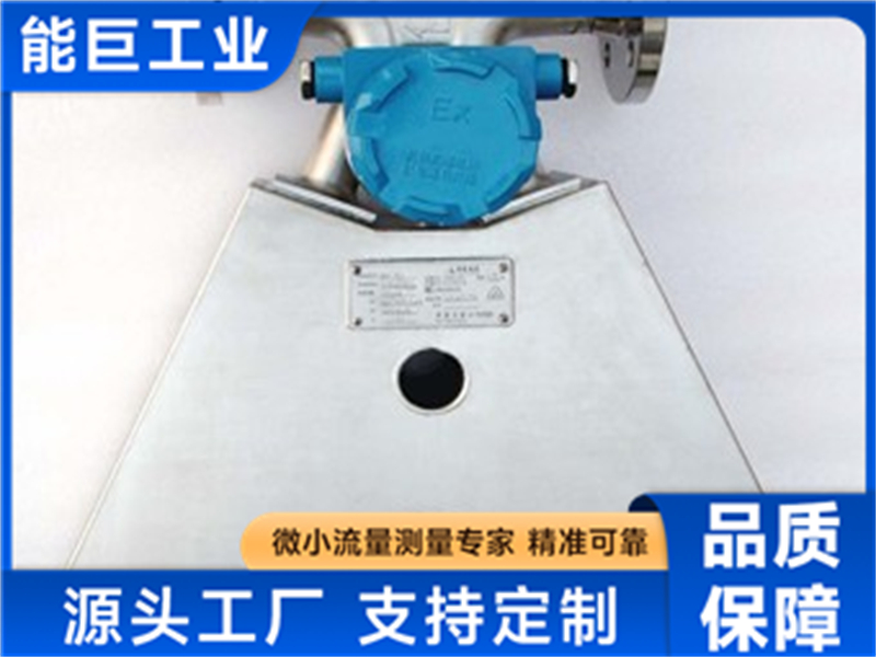 2026年科里奥利质量流量计品牌推荐与选购指南