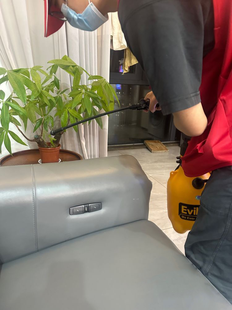 秦淮好用的有害生物防治机构推荐哪家